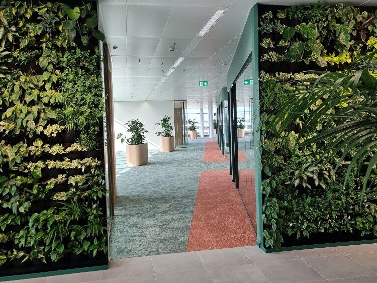 Gang met groene wanden en planten